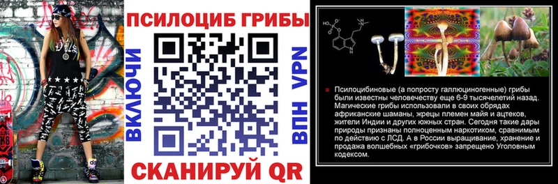 Купить Евпатория Псилоцибиновые грибы Psilocybe